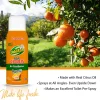 OdoBan Real Citrus Air Freshener, Orange Scent, 10 Oz, Set Of 2 Spray Cans