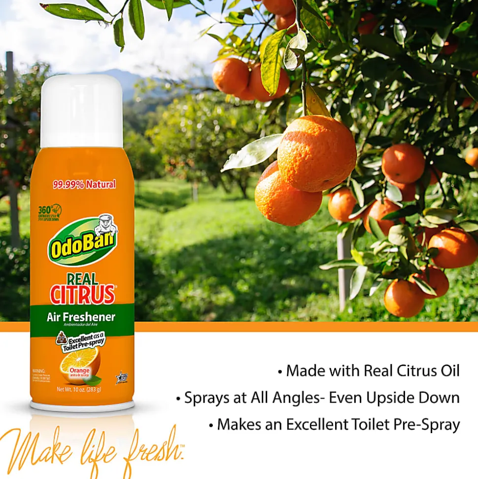 OdoBan Real Citrus Air Freshener, Orange Scent, 10 Oz, Set Of 2 Spray Cans