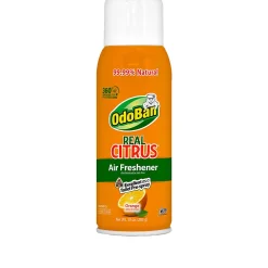 OdoBan Real Citrus Air Freshener, Orange Scent, 10 Oz