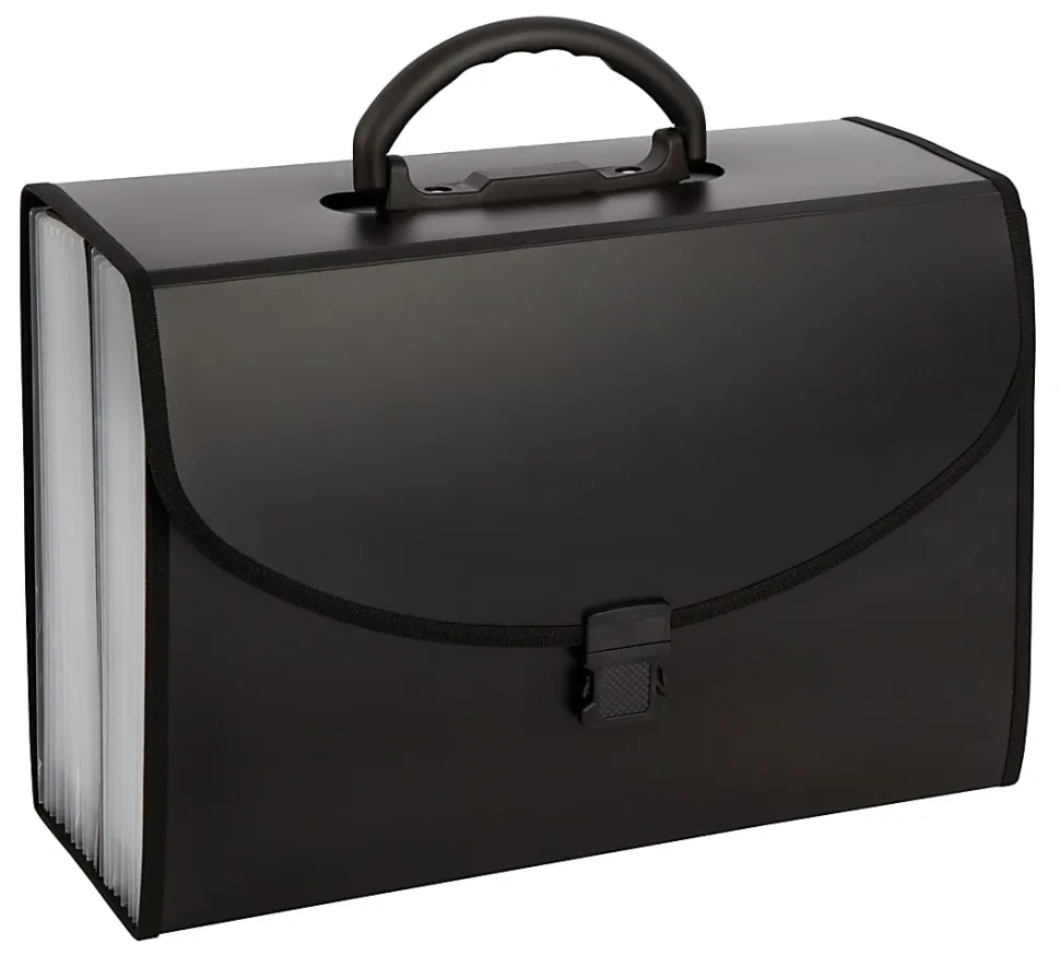 Office Depot® Brand Expanding 21-Pocket File Case, Legal Size, Black