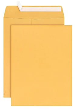 Office Depot® Brand Manila Catalog Envelopes, 9