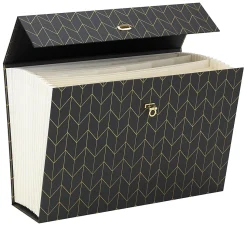 Office DepotĀ® Brand Paper Expanding Case File, 19 Pockets, Legal Paper Size, Gray/Gold Chevron