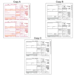 Office Depot® Brand 6-Part W-2/4-Part 1099 Laser Form Sets And Envelopes With LaserLink Software, 8-1/2