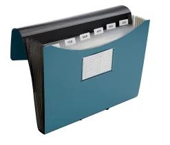 Office Depot® Brand Plastic File, 13 Pocket, Expansion 5-1/2", 8 1/2" x 11", Letter, Blue, Pack of 1