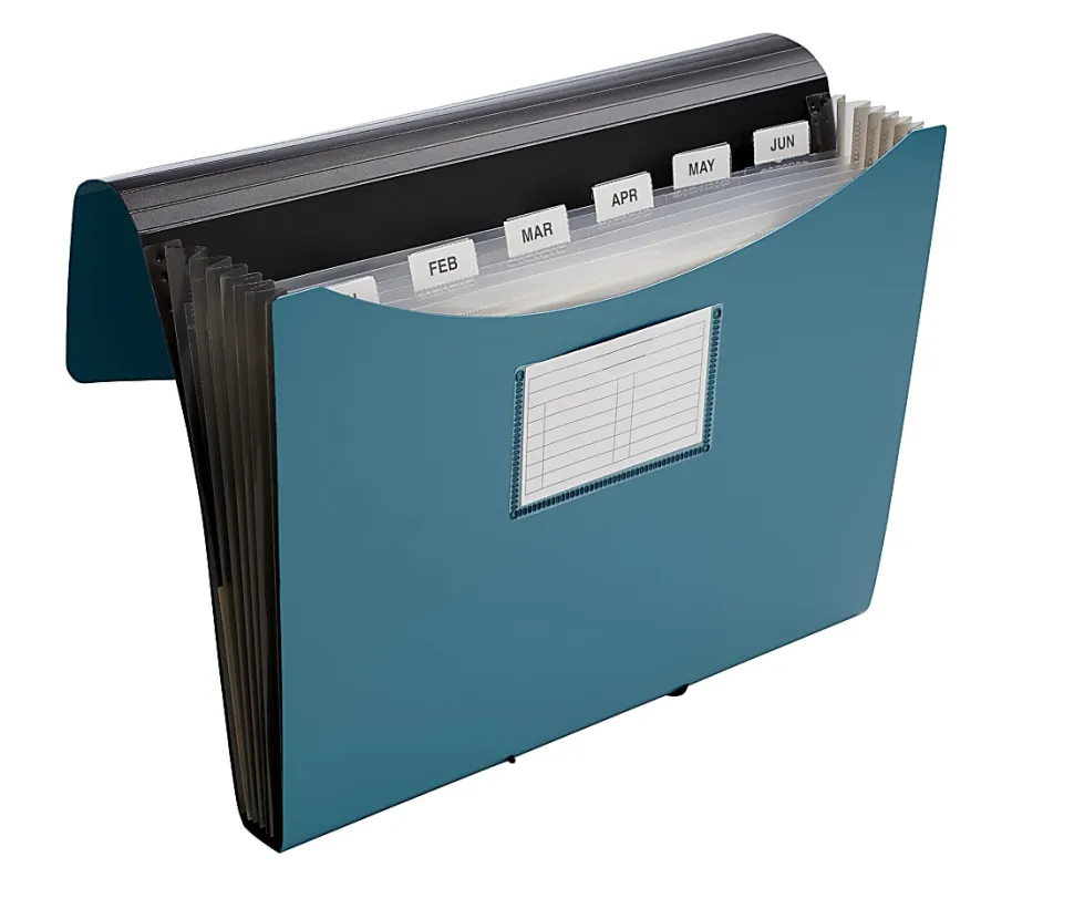Office Depot® Brand Plastic File, 13 Pocket, Expansion 5-1/2", 8 1/2" x 11", Letter, Blue, Pack of 1