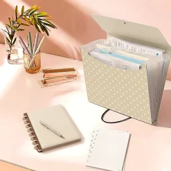 Office DepotĀ® Brand 13-Pocket Poly Expanding File, Letter Size, Warm Beige/Quiet Dots