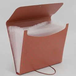 Office Depot® Brand 13-Pocket Poly Expanding File, Letter Size, Terra Pop