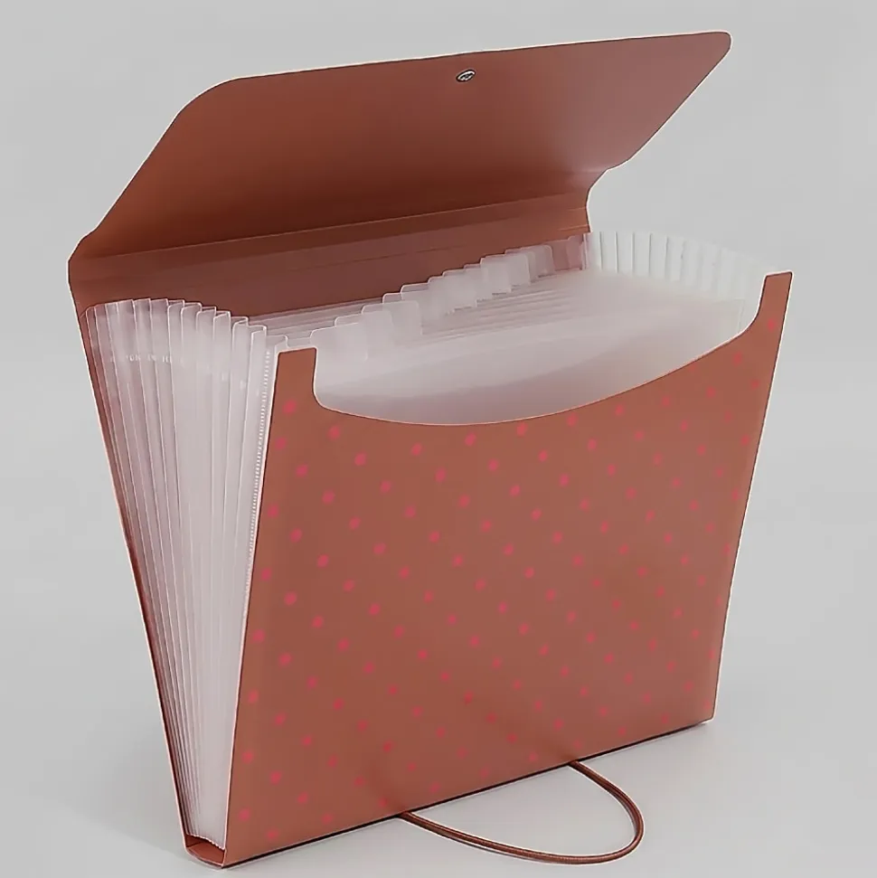 Office Depot® Brand 13-Pocket Poly Expanding File, Letter Size, Terra Pop