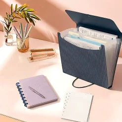 Office Depot® Brand 13-Pocket Poly Expanding File, Letter Size, Midnight Blue/Stripes