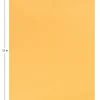 Office Depot® Brand  9" x 12" Manila Catalog Envelopes, Gummed Seal, Brown Kraft, Box Of 100