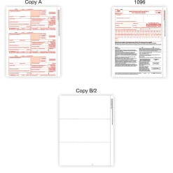Office Depot® W-2/1099 Laser Form Sets With Envelopes And Software, 6-Part/4-Part, 8-1/2