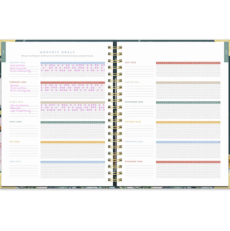 2026 Orange Circle Studio Deluxe Extra-Large Weekly/Monthly Spiral Planner, 11-3/16" x 9-3/16", Bella Flora, January To December, 26432