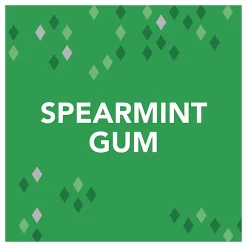 Orbit® Gum, Spearmint, 0.5 Oz