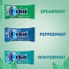 Orbit Peppermint, Spearmint And Wintermint Assorted Sugar-Free Chewing Gum Bulk Pack, 13.4 Oz, Bag Of 200 Pieces