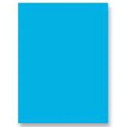 Pacon® Fadeless® Art Paper Roll, 48