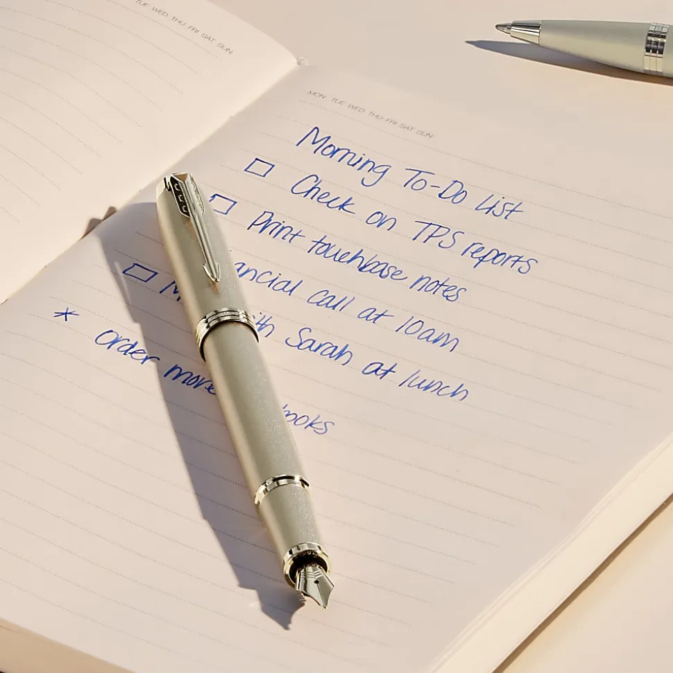 Parker IM Monochrome Fountain Pen, Champagne Finish and Trims, Medium Point, Blue Ink, Gift Box