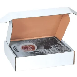 Partners Brand Deluxe Literature Mailers, 12