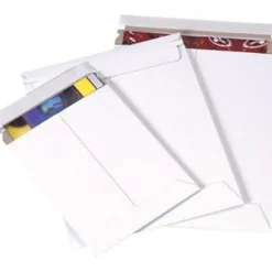 Partners Brand Self-Seal Stayflats® Plus Express Pouch Mailers, 11