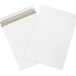 Partners Brand Self-Seal Stayflats® Plus Express Pouch Mailers, 9