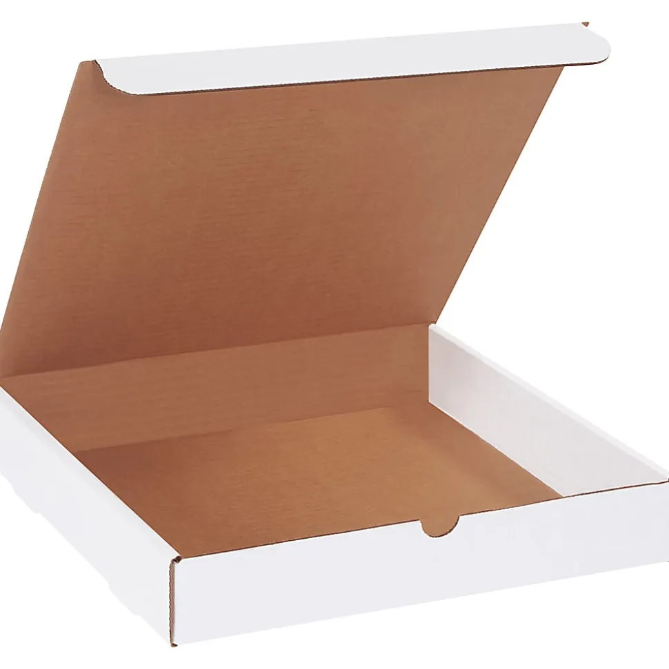 Partners Brand White Literature Mailers, 11" x 6 1/2" x 2 3/4", Pack Of 50