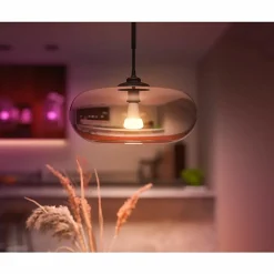 Philips Hue LED Light Bulb - 16 W - 100 W Incandescent Equivalent Wattage - 120 V AC - 1600 lm - A21 Size - 562982