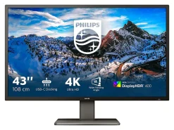Philips P-line 439P1 - LED monitor - 43