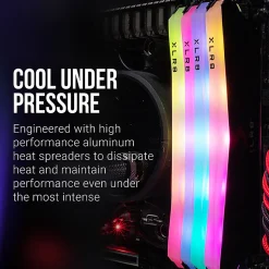 PNY XLR8 Gaming EPIC-X RGB 32GB DDR4 3200MHz Desktop Memory Kit, MD32GK2D4320016XRG