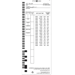 Pyramid Time System - 100/PK Authentic Time Cards [44100-10]  - 4410010