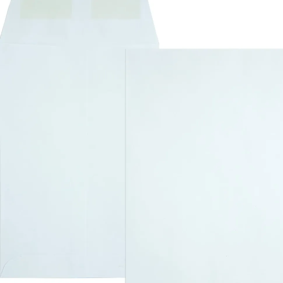 Quality Park® Catalog Envelopes, Gummed Closure, 6" x 9", White, Box Of 500