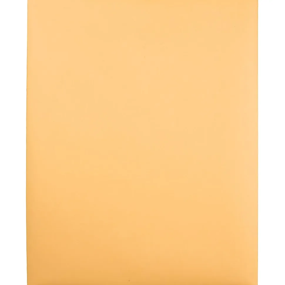 Quality Park® Envelopes, 10" x 13", Clasp Closure, Brown, Box Of 100, QUA37797