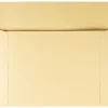 Quality Park Filing Envelopes, #10, 10" x 14-3/4", Cameo, Pack Of 100 Envelopes
