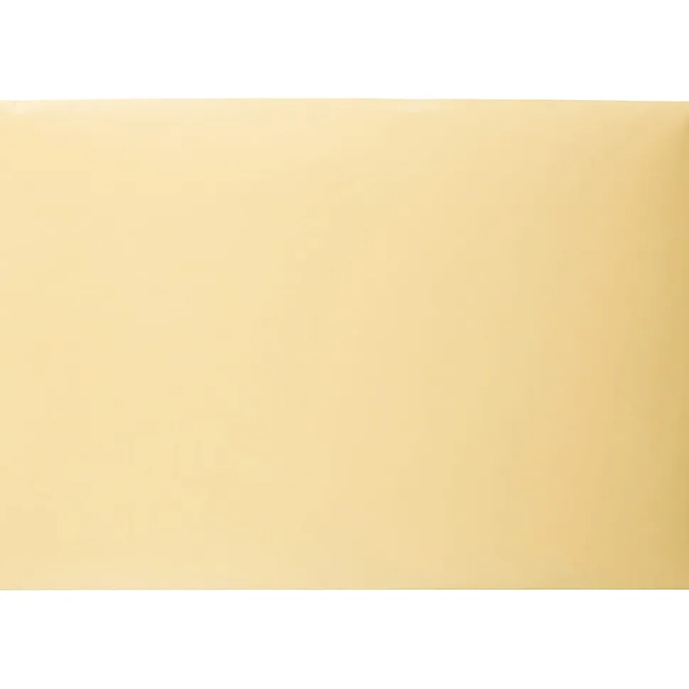 Quality Park Filing Envelopes, #10, 10" x 14-3/4", Cameo, Pack Of 100 Envelopes