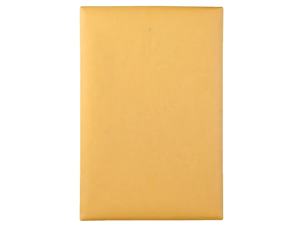 Quality Park Gummed Kraft Clasp Envelopes - Clasp - #55 - 6" Width x 9" Length - 28 lb - Gummed - Kraft - 100 / Box - Kraft