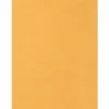 Quality Park® Jumbo Catalog Envelopes, 17" x 22", Flap Closure, Brown, Pack Of 25