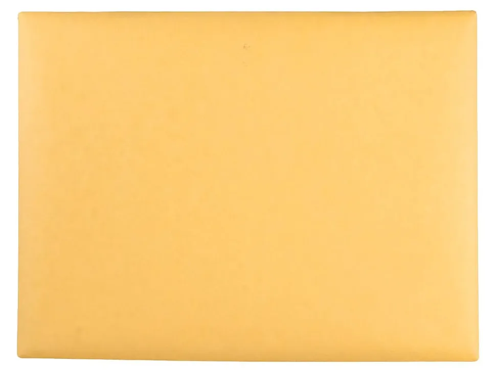 Quality Park® Redi-File™ Clasp Envelopes, 9" x 12", Brown, Box Of 100