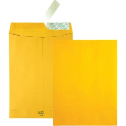 Quality Park® Redi-Strip™ Catalog Envelopes, High Bulk, 9