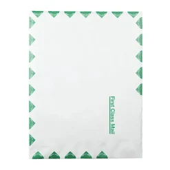 Quality Park® Tyvek® Envelopes, First Class, 10