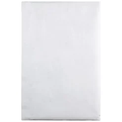 Quality Park® Tyvek® Envelopes, 10