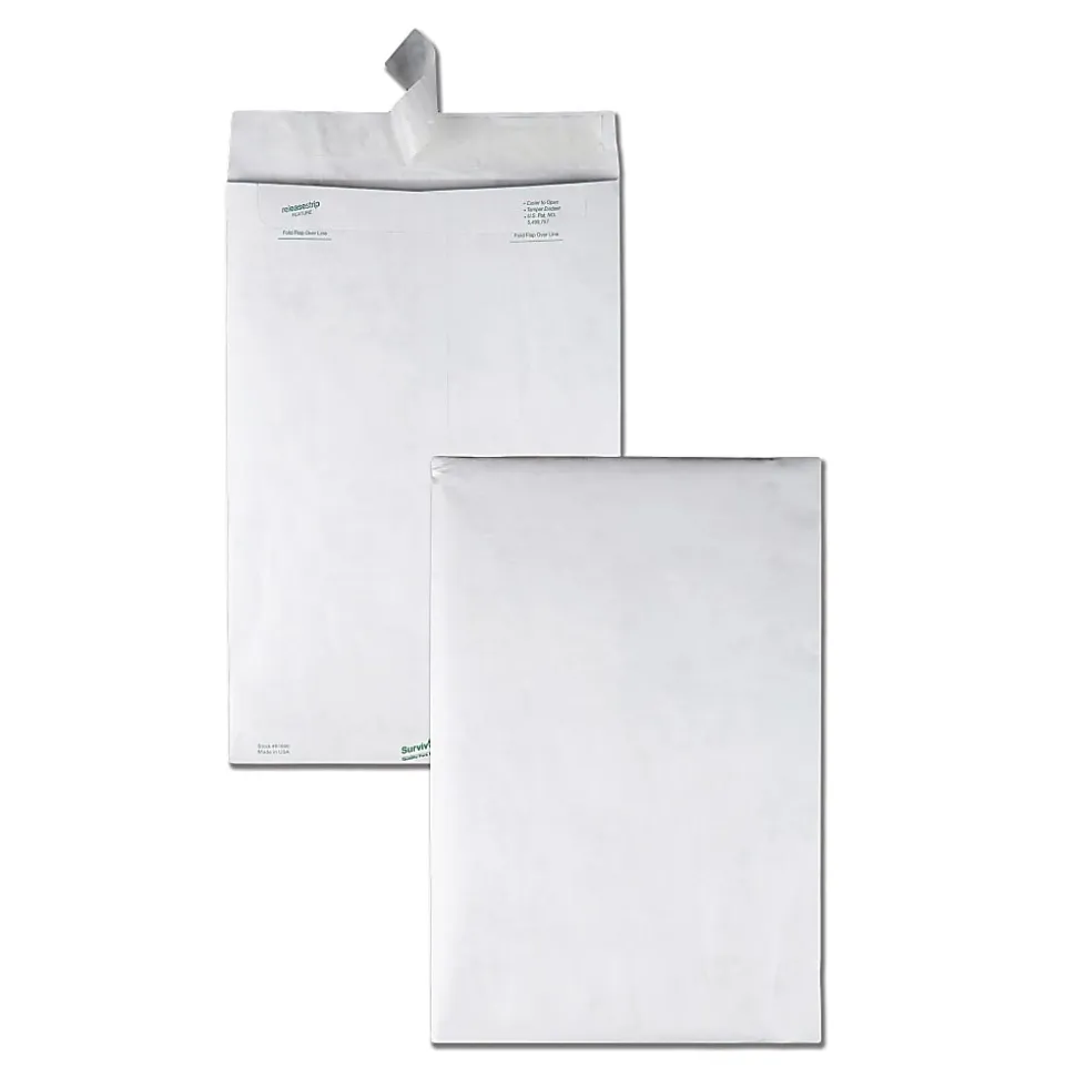 Quality Park® Tyvek® Envelopes, 10" x 15", White, Box Of 100