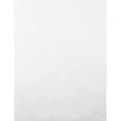 Quality Park® Tyvek® Expansion 10