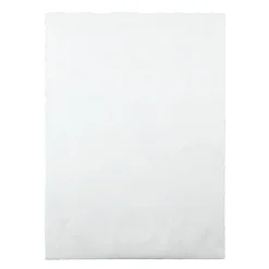 Quality Park® Tyvek® Expansion 10