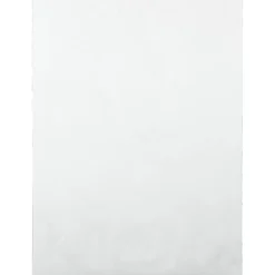 Quality Park® Tyvek® Expansion 10