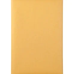 Quality Park 6" x 9" Envelopes, Clasp Closure, Brown, Box Of 500