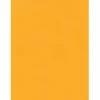 Quality Park 9x 12 Hi Bulk Catalog Envelopes with Self-Seal Closure - Catalog - 9"x 12" - 24 lb - Self-sealing Flap - Kraft - 100 Box - Brown Kraft