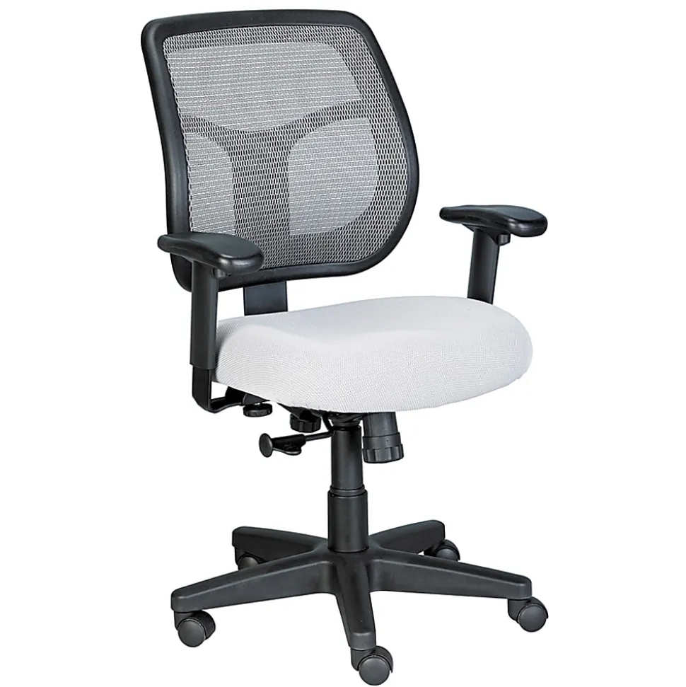 Raynor® Eurotech Apollo Mesh/Fabric Synchro Tilt Task Chair, Silver/Black
