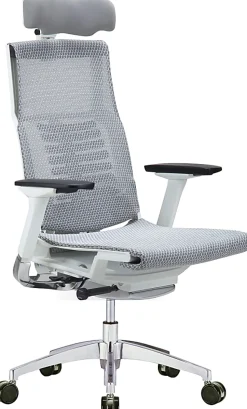 Raynor® Powerfit Ergonomic Mesh High-Back Executive Office Chair, Gray/White