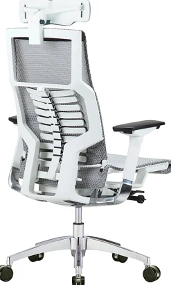 Raynor® Powerfit Ergonomic Mesh High-Back Executive Office Chair, Gray/White