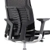 Raynor® Powerfit Ergonomic Mesh High-Back Executive Office Chair, Black