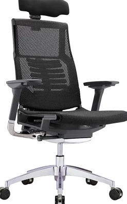 Raynor® Powerfit Ergonomic Mesh High-Back Executive Office Chair, Black