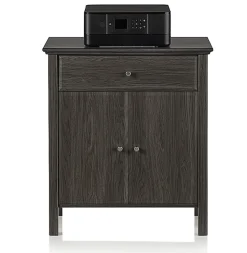 Realspace® Chase 30-1/8”H x 26-7/8”W x 15-3/4”D Storage Cabinet/Printer Stand, Coastal Gray